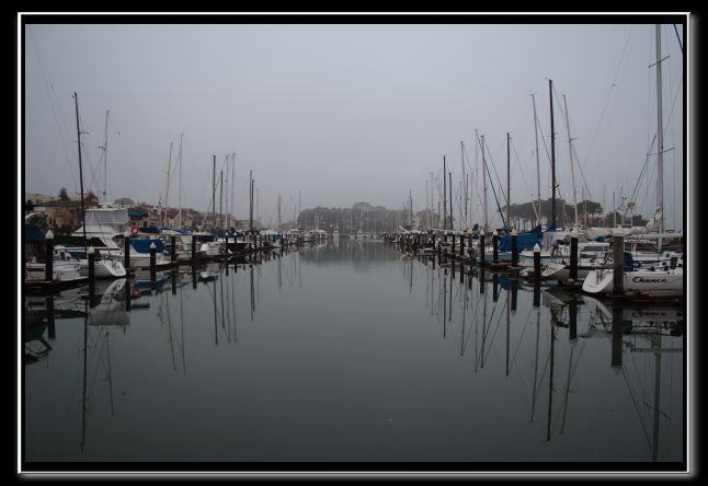 DPP_00242