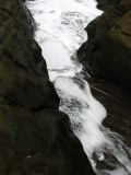 IMG_0253