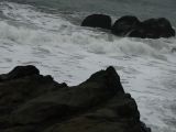 IMG_0264