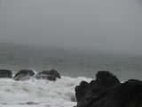 IMG_0273