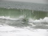 IMG_0324