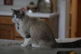 IMG_1710
