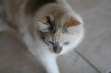 IMG_1711
