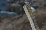 IMG_4126