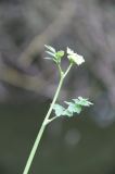 IMG_6857
