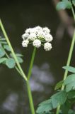 IMG_6859