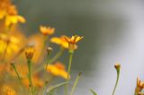 IMG_7057