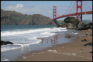 SF Beach